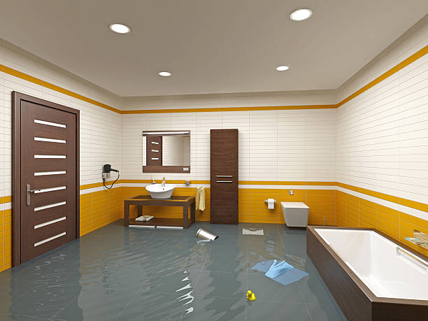 Best Odor Removal and Sanitization After Water Damage in USA